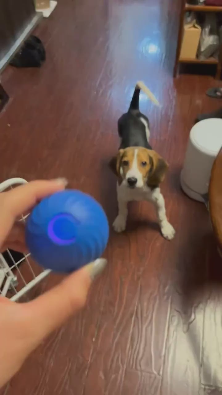 Pelota Interactiva Inteligente para Perros y Gatos – Movimiento Automático y Luces LED