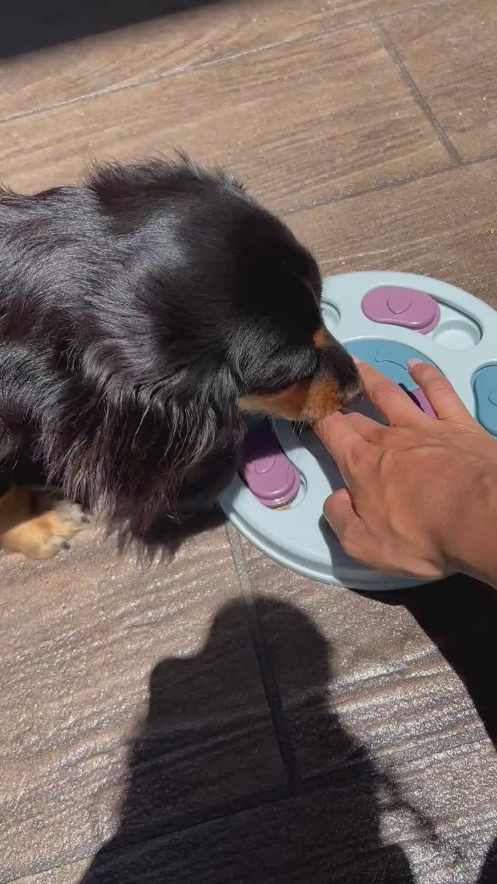 Plato Interactivo Premium para Mascotas – Estimulación Mental y Alimentación Lenta