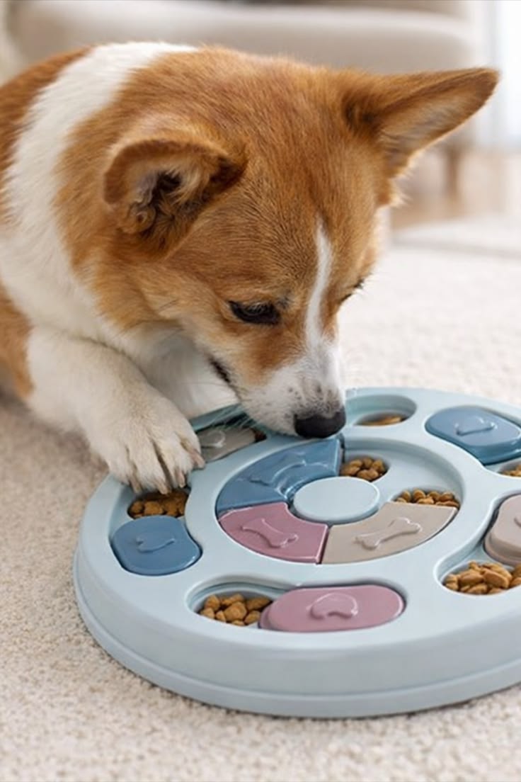 Plato Interactivo Premium para Mascotas – Estimulación Mental y Alimentación Lenta
